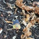 아성농장 이미지