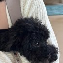 슬로우레인 - 청주시 흥덕구 2순환로 1233 | 슬로우레인