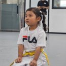 태양태권도장 이미지