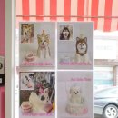 칸타삐야 | 부산 강아지 생일 케이크 칸타삐야 금손 사장님