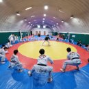 경희대 청룡태권도 이미지