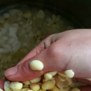 일일식당 이미지