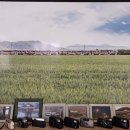 한국철도공사 보성역사 이미지