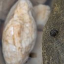 금빛솔여울에든가오름 이미지