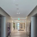 라셀 | [서울 강남/ 신사] 신사역 비올라셀 피부과 슈링크 300샷 일주일 차 솔직 후기(실리프팅 후, 팔자주름...
