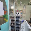 퍼피캣 애견미용 애견호텔 인천루원시티점 | 인천 강아지 분양 서구 퍼피캣에서 건강한 강아지 분양받기