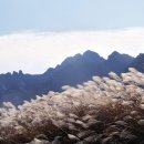 월출산3호 이미지