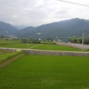 종주농장 이미지