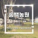 구미 송백농원 카라반 시설 및 숙소 상세 리뷰 이것만 보고 가세요