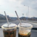 용천목장 | 🚗 [당일치기] 서산·당진 힐링 여행, 로드1950카페(feat. 물때 주의!)