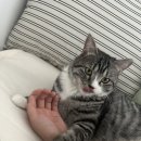 왕방떡방앗간 | 5월 일상 : 어떻게 사람이 먹고만 살아요?