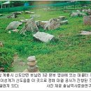 풍수지리로 바라본 지구촌과 대한민국 이미지