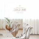 굴화스크린 | 굴화주공아파트 / 울산 커튼 전문점에서 [그리고커튼]