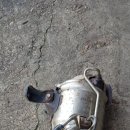 오토오아시스 청주영운점 이미지