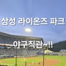 CU음성삼성2호점 | 2026년라팍입장료및~라팍원정응원석1-5구역27열관람뷰와1루쪽먹거리~!!