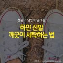 하얀세탁 이미지
