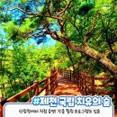 [특가] 9월24일(토) 제천 삼한의 초록길+황금 들녘~국립 제천 금수산 치유의 숲 이미지