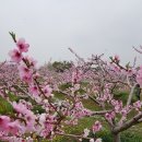 복사골농장 이미지