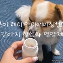 돼지종합유통 | [노견 종합 영양제] 우리집 건강루틴에 추가한 다봉이 영양제, 본아페티 안티에이징캡스 솔직후기