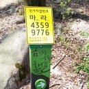 참멋헤어 | 200402금정산5등산로(사기봉,원효봉,의상봉)금정산6등산로