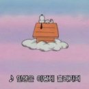 벨하이솝 이미지