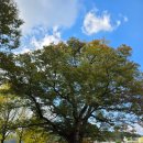 연화모텔 이미지