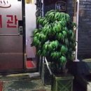 안방여관 이미지