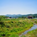 라벤더 까페 이미지