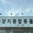 드림24동물병원 이미지