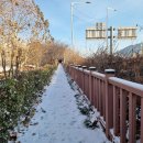 중랑천 뚝방길 (옥외35) | 자연식물식4일차/생일이니까 케익먹자!