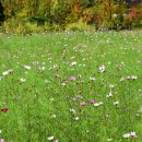 (주)정도 이미지