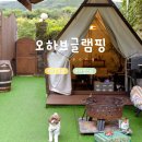서울애견마트 | 서울근교 애견 동반 가평 오하브글램핑 웨스턴프리미엄 객실 후기