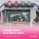 서울홍약국