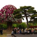 함평 엑스포공원 일원 나비축제(2) 이미지