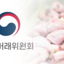 올품닭백화점 KBS
