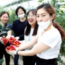 세종방역공사 - 세종특별자치시 | 세종방역공사