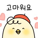 송도통큰조개 이미지