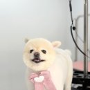 개린이살롱