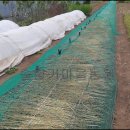 백송 농장 이미지