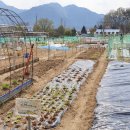 고산농장 이미지