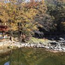 학하동로2 이미지