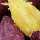 해남상회 이미지