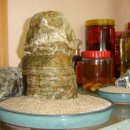 색소폰노래연습장 이미지