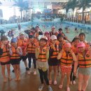 베스트 연세 태권도 이미지