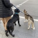 메디다스 | ⭐️스페인 &amp; 포르투갈 여행후기 및 꿀팁 :: 소매치기, 인종차별, 마리화나 등등..🇪🇸🇵🇹