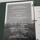 부성건강센터 | 인천두피클리닉, WT메소드 주안점에서 탈모,원인 및 증상