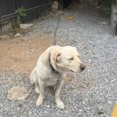 장락식품 | [제천 이색체험] 장비, 준비물 없이 몸만 떠나는 제천 캠핑 ‘불멍빌리지’