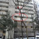 경충대로2041번길 이미지