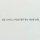 그림책으로 문해력 키우기 이미지