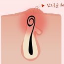 레이니왁싱